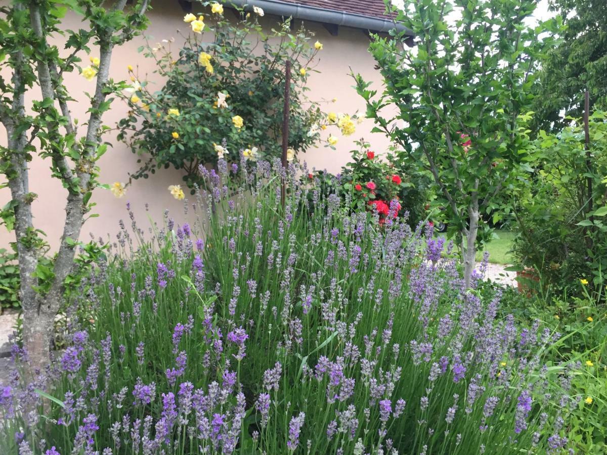 Chantilly ,Petit Dejeuner Et Table D'Hotes Possible Noyers  Екстериор снимка